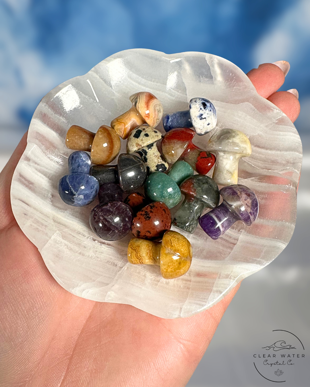 Mini Mystery Mushroom Pack: Enchanted Forest Trio