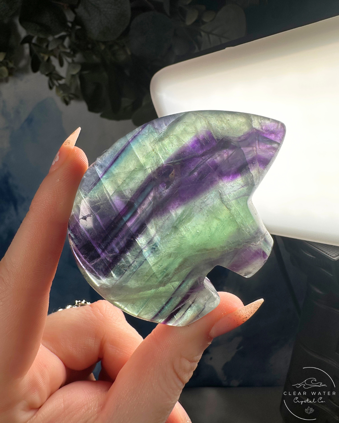 Mexican Fluorite Bear Carving