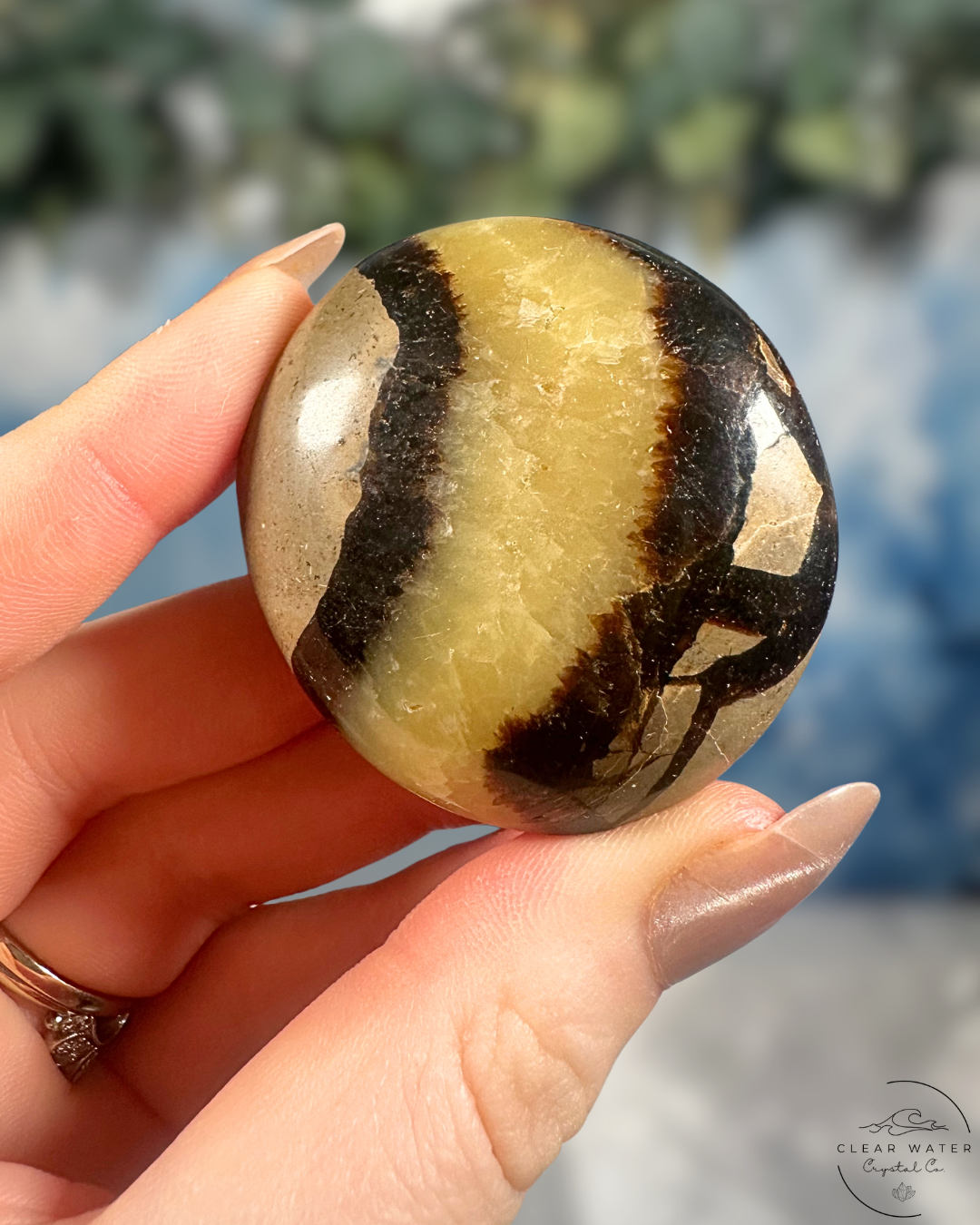 Septarian Palmstone: Dragon's Egg