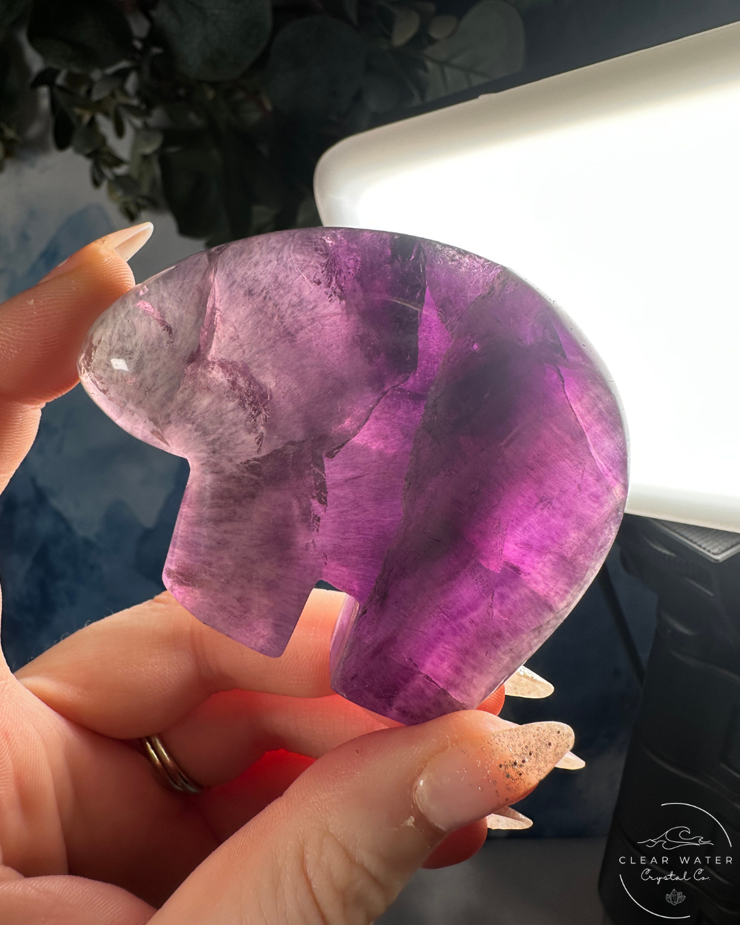 Mexican Fluorite Bear Carving