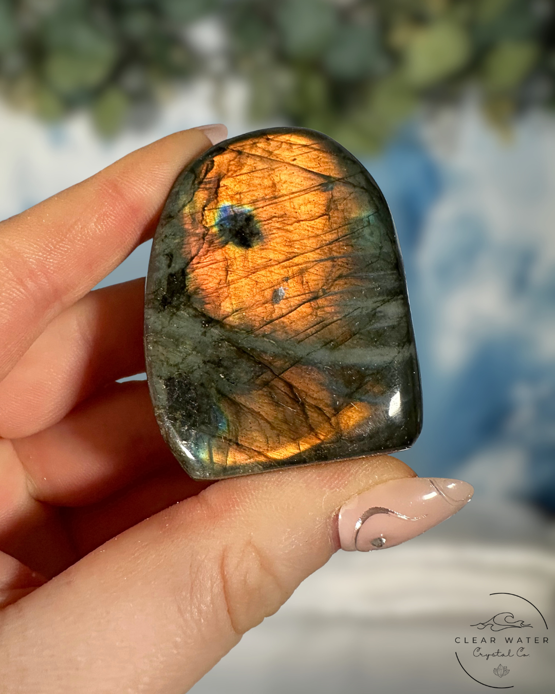 Full Face Flash Labradorite Freeforms: Shimmering Secrets of Madagascar