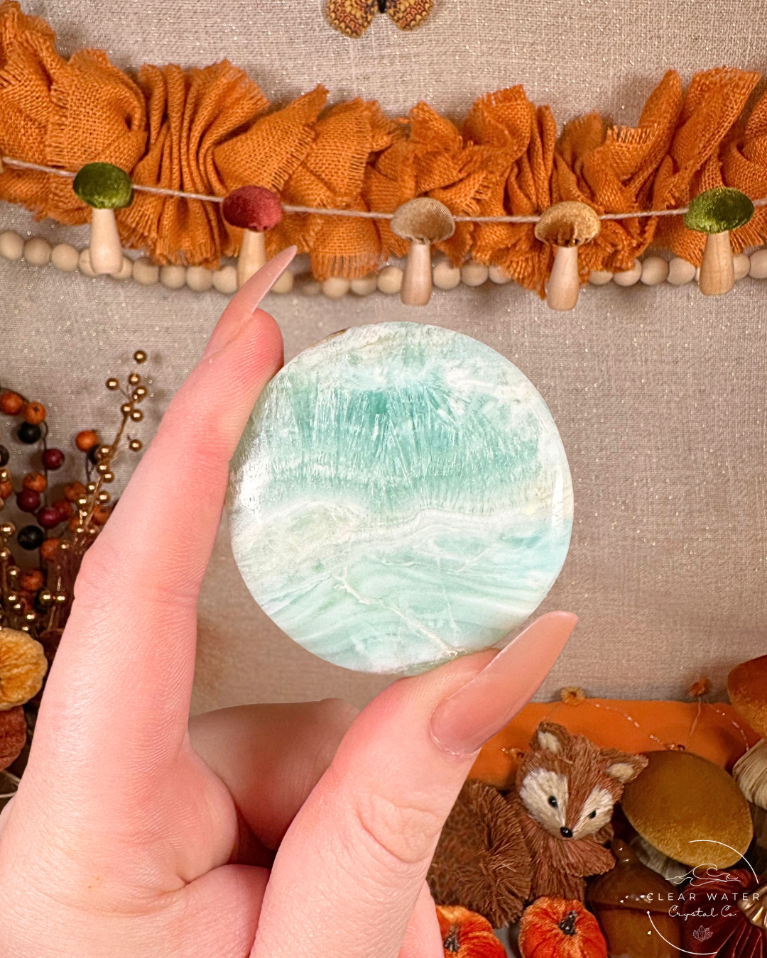 Tidepool: Caribbean Calcite Flatstone