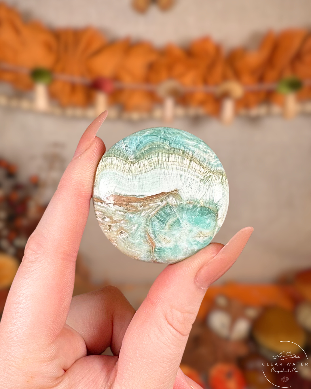 Tidepool: Caribbean Calcite Flatstone