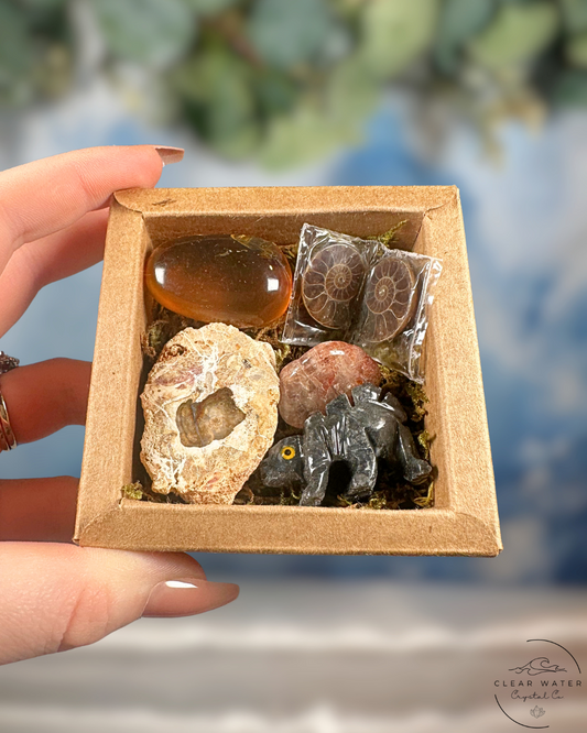 The Cretaceous Curio