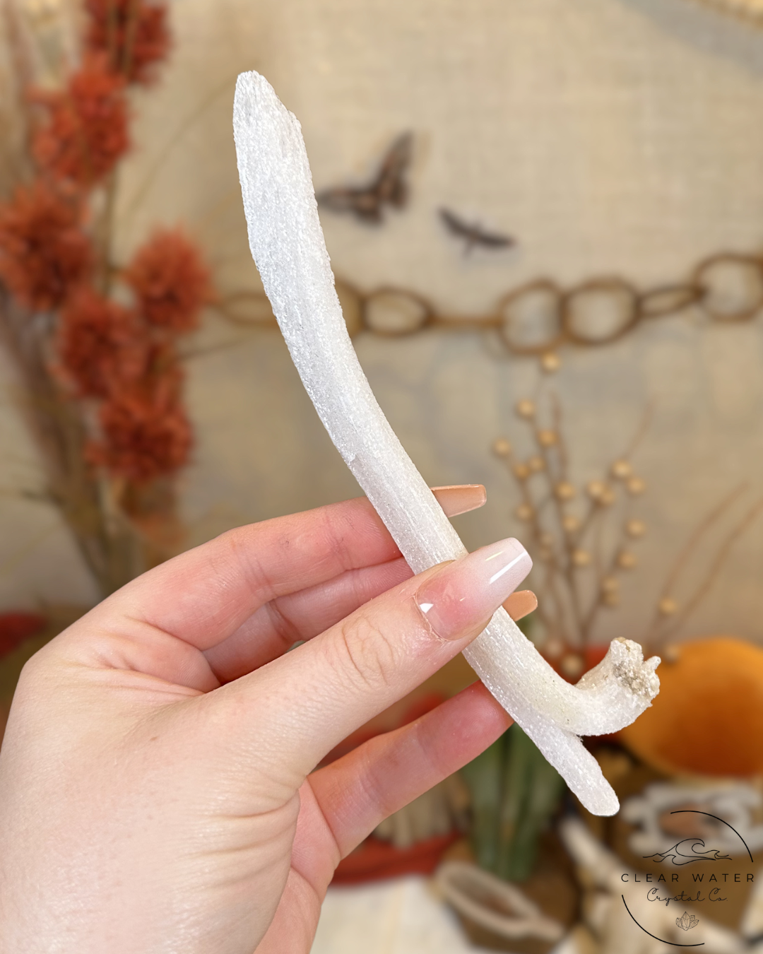 Selenite Ram Horn- Mexico
