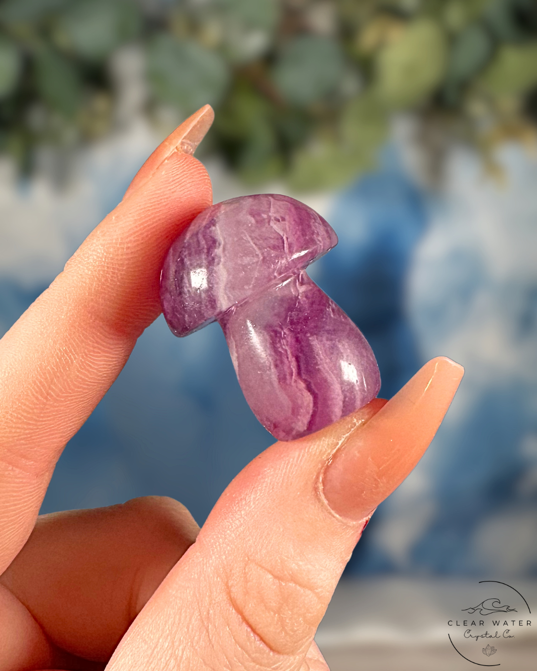 Candy Fluorite Mushrooms
