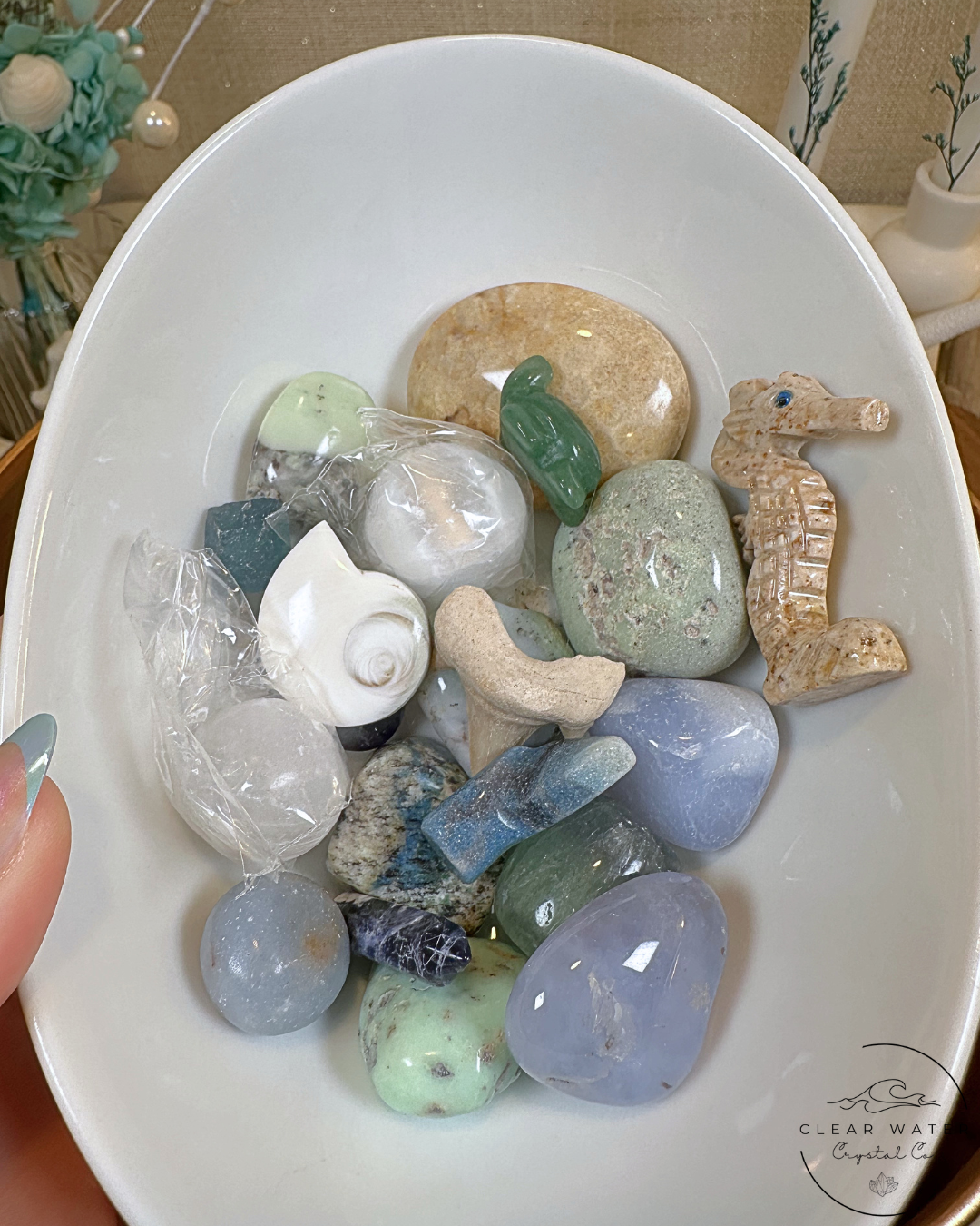 Tidepool Treasures: A Coastal Crystal Scoop