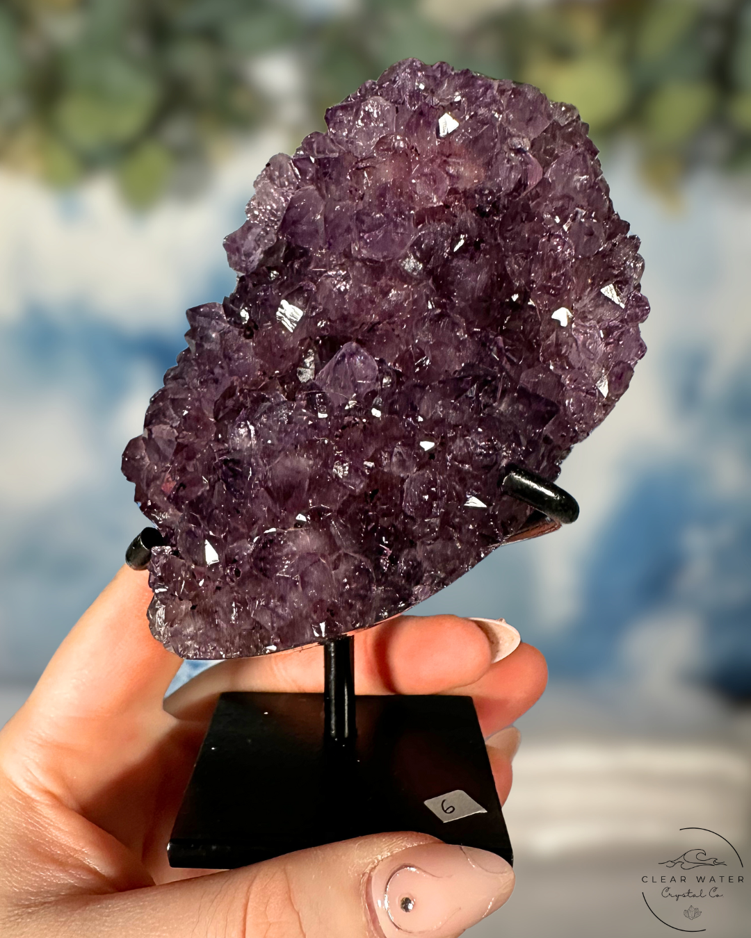 Uruguayan Amethyst on Custom Stand: Blackberry Fields