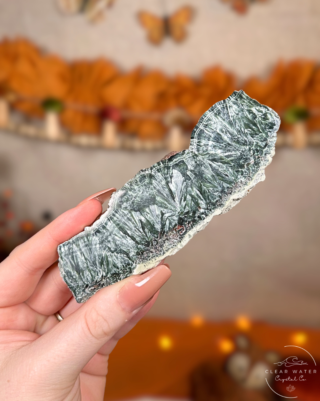 Seraphinite Slab- Angelwing