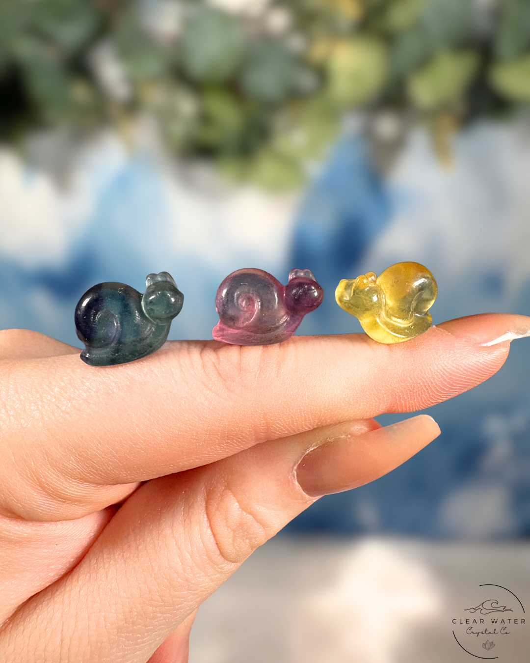 Fluorite Snail: Slow Down & Shine