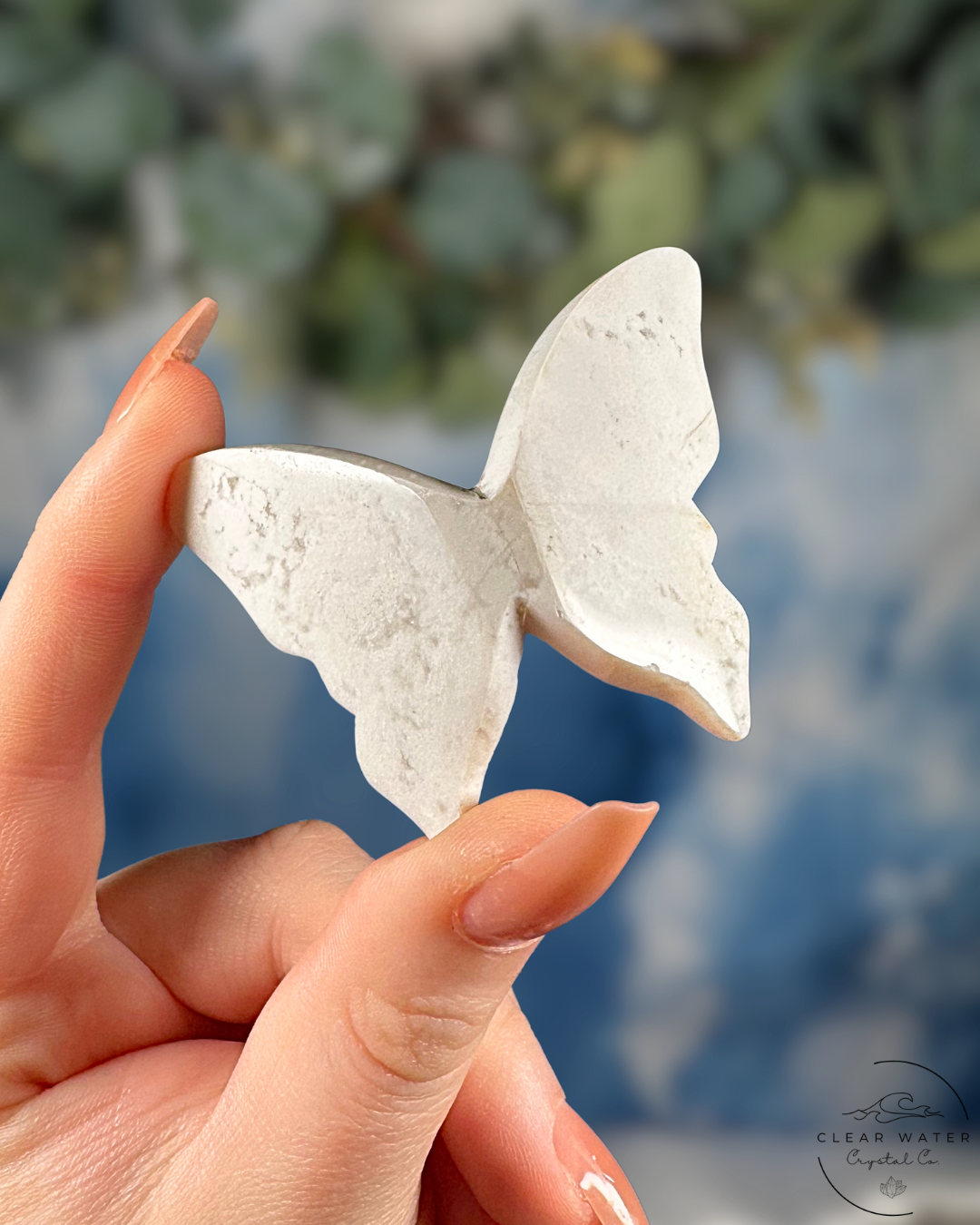 Indonesian Snow Agate Butterfly – The Frostwing