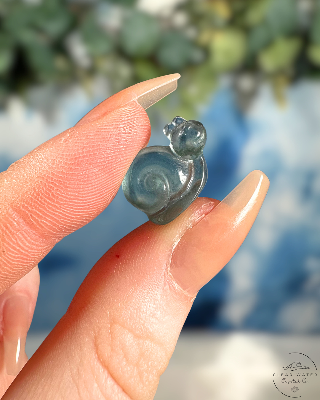 Fluorite Snail: Slow Down & Shine