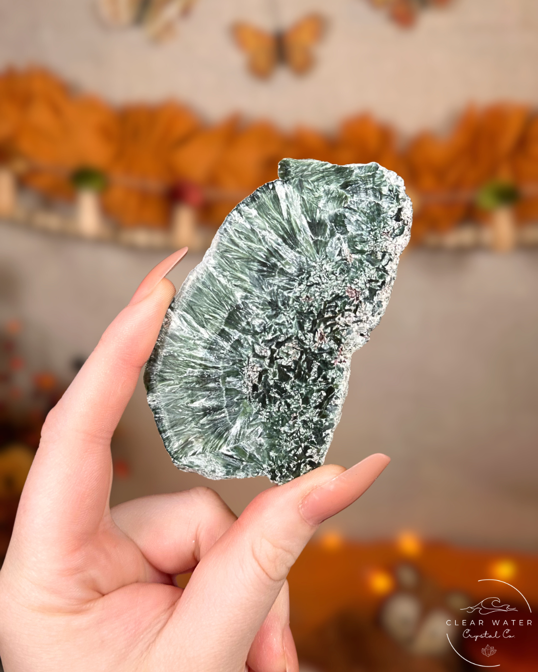 Seraphinite Slab- Angelwing