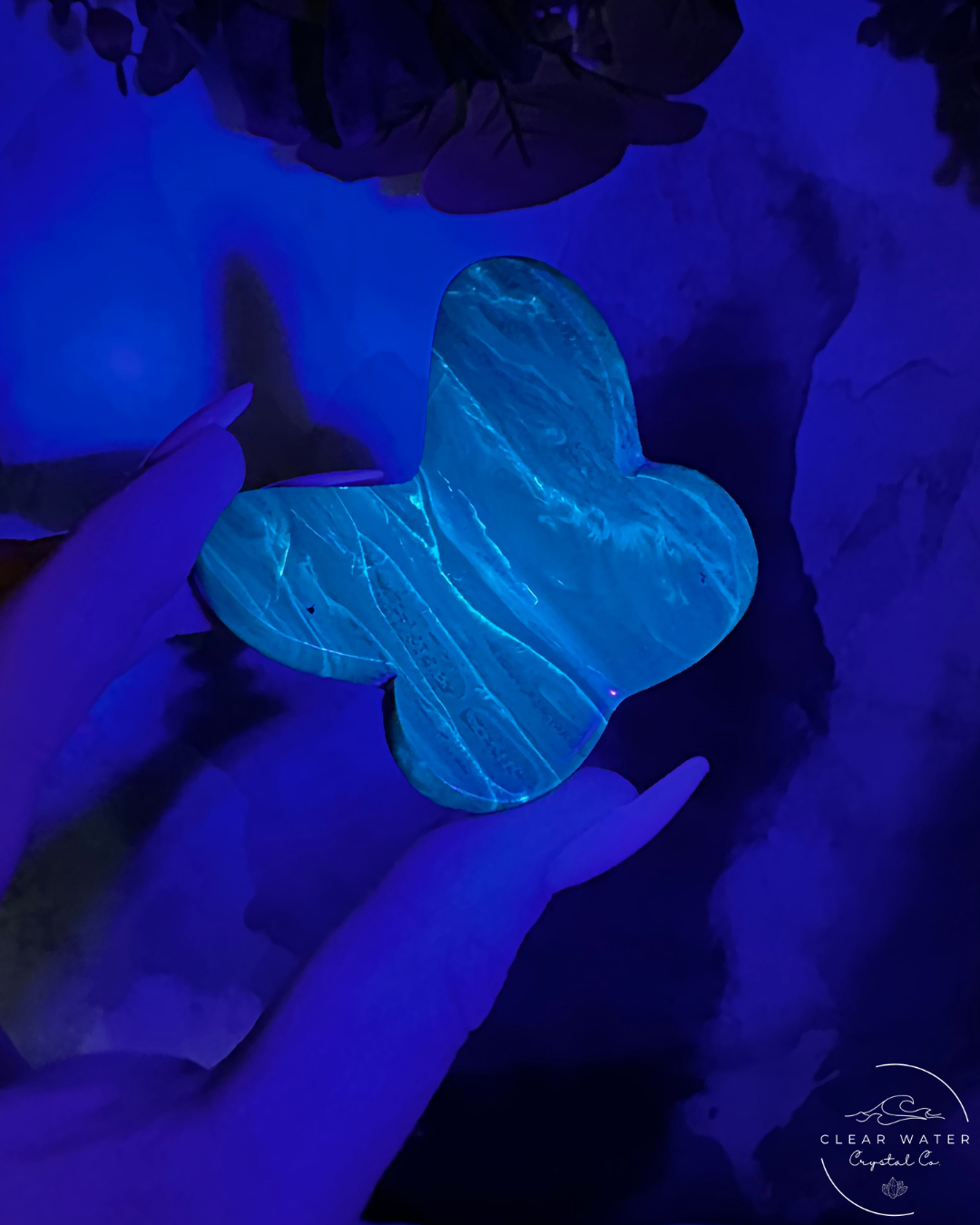 Indonesian UV Reactive Amber Butterfly – The Sunfire