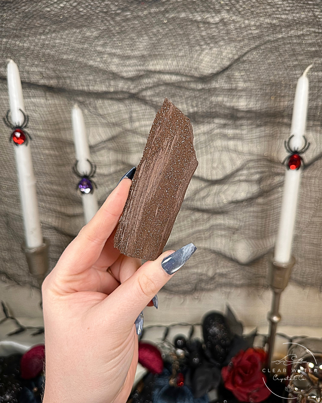 Permineralized Wood Specimens – Germany