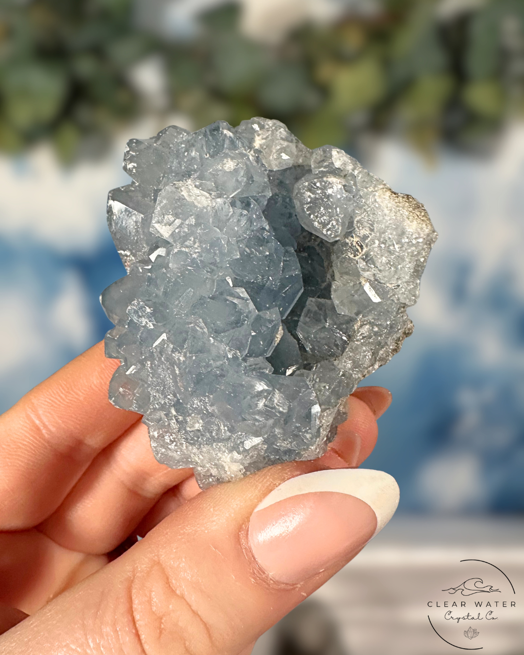 Celestite Clusters: Whispers of the Heavens