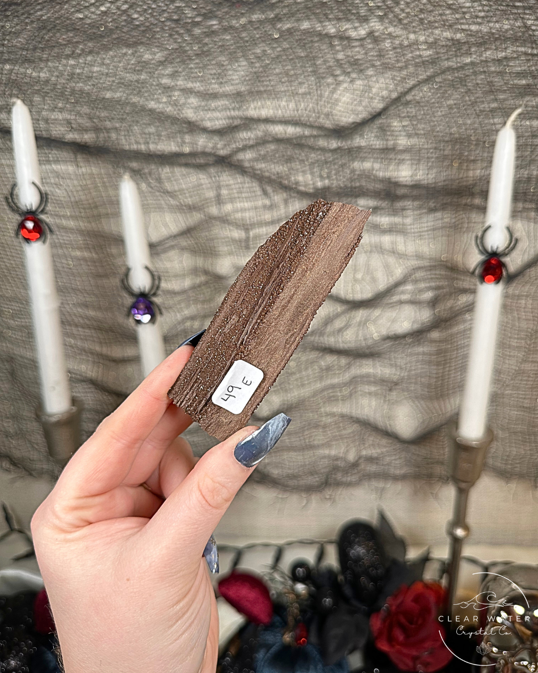 Permineralized Wood Specimens – Germany