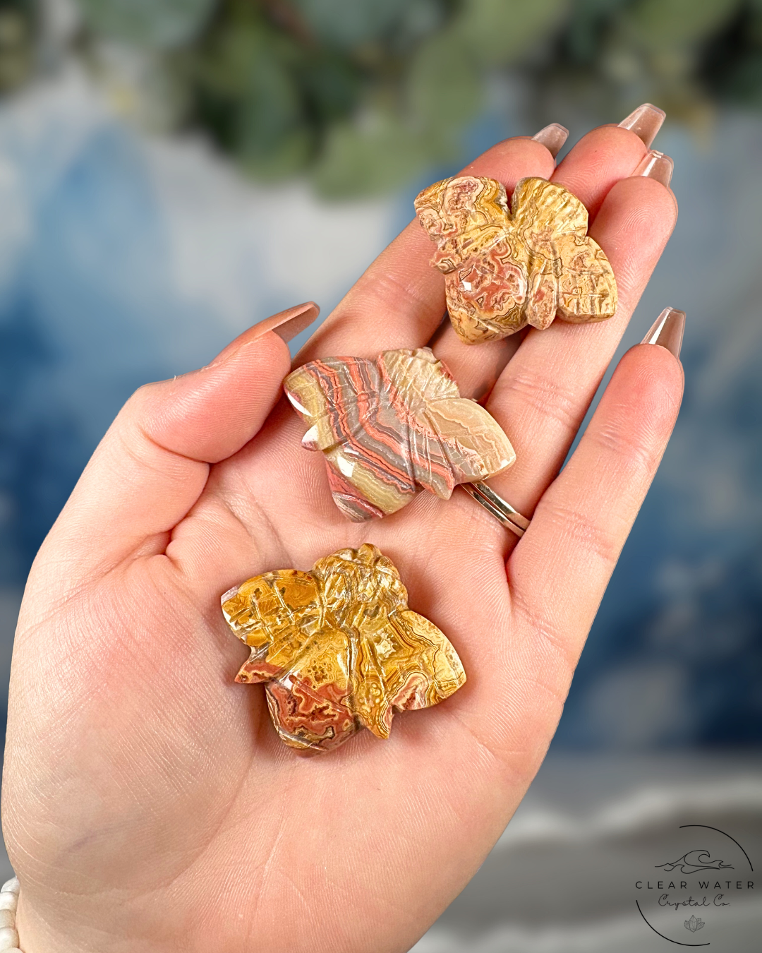 Indonesian Pink Crazy Lace Agate Bee – The Honeybloom