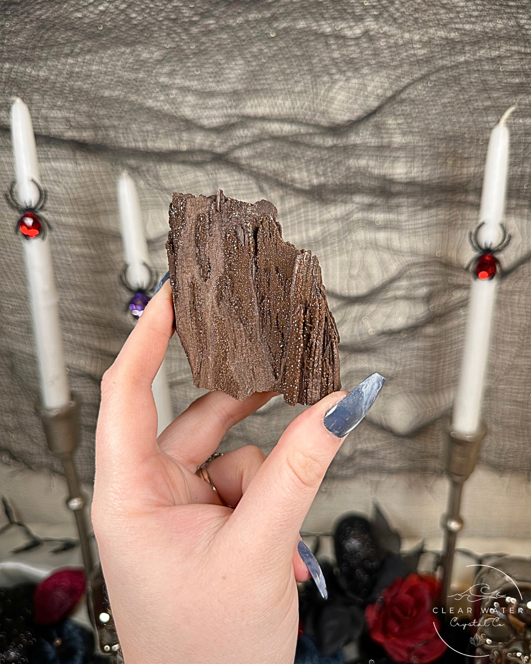 Permineralized Wood Specimens – Germany