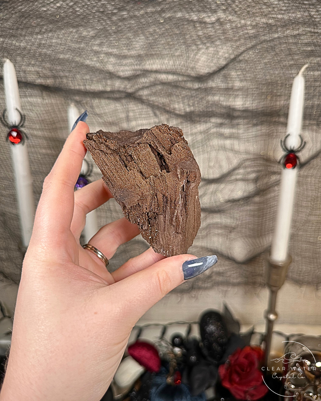 Permineralized Wood Specimens – Germany