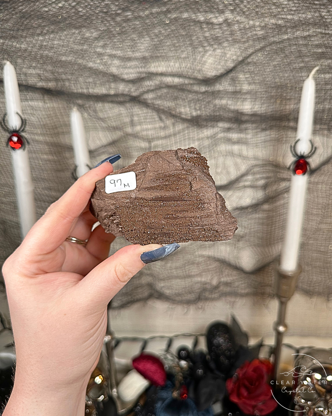 Permineralized Wood Specimens – Germany