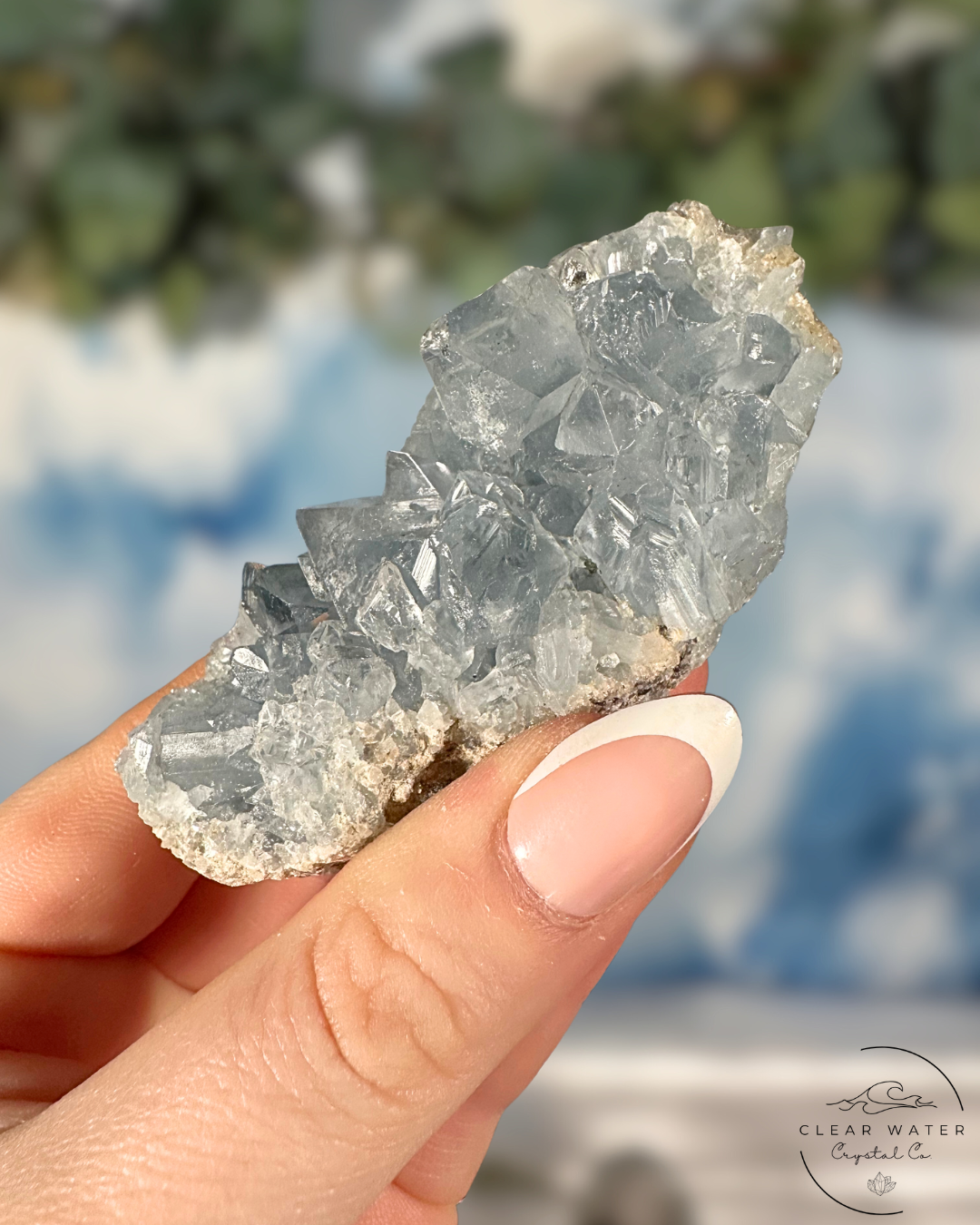 Celestite Clusters: Whispers of the Heavens