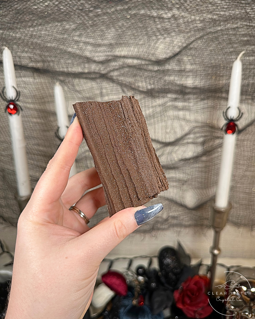 Permineralized Wood Specimens – Germany