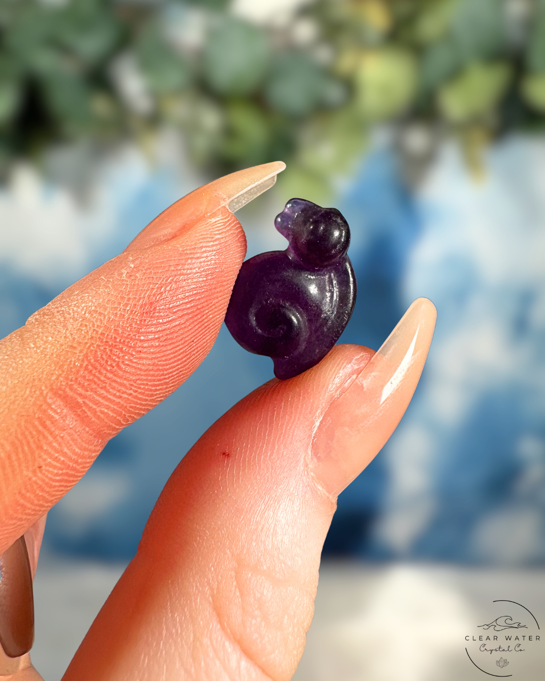 Fluorite Snail: Slow Down & Shine
