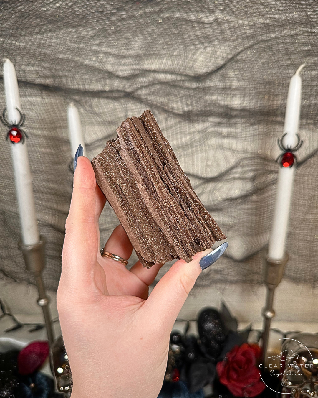 Permineralized Wood Specimens – Germany