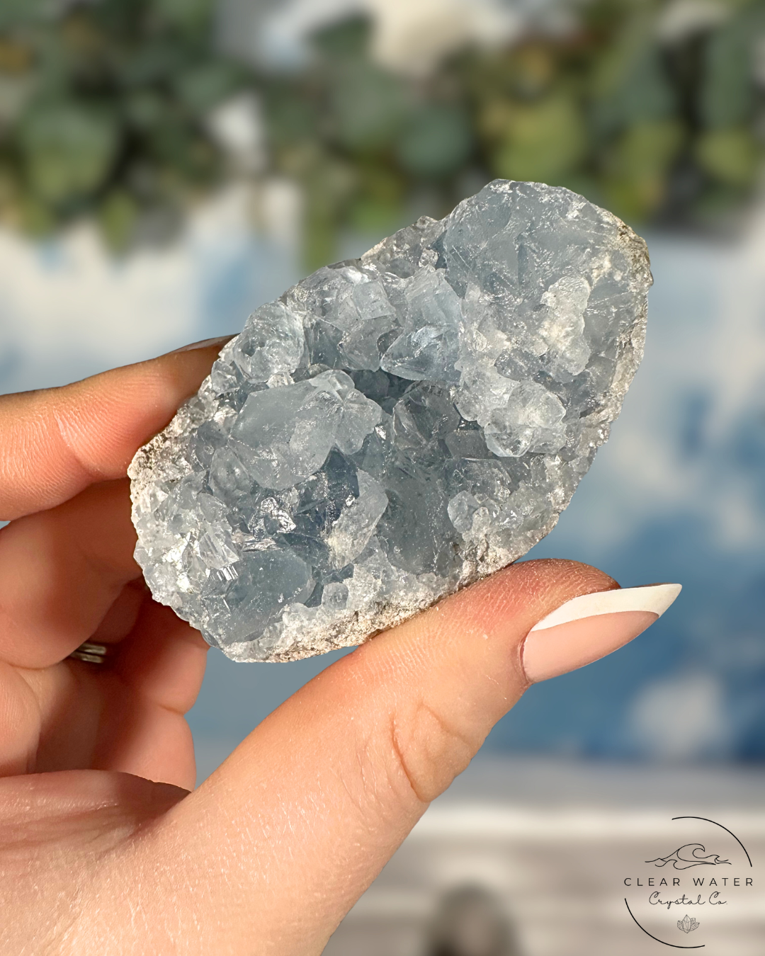 Celestite Clusters: Whispers of the Heavens