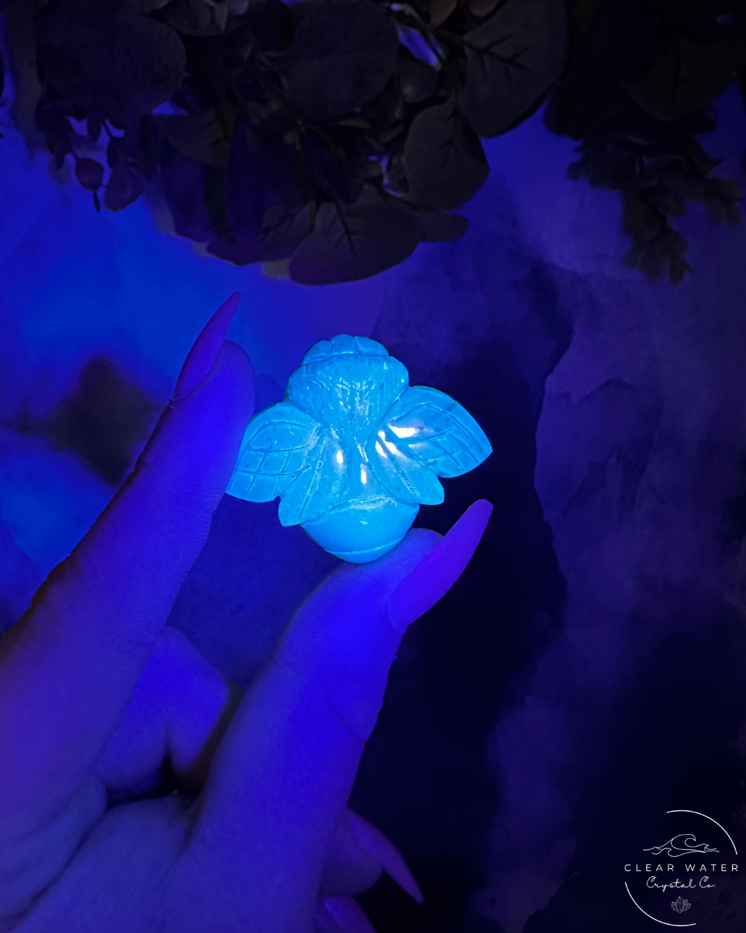 Indonesian UV Reactive Amber Bee – The Honeykeeper