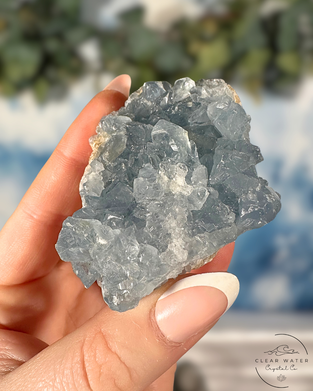 Celestite Clusters: Whispers of the Heavens