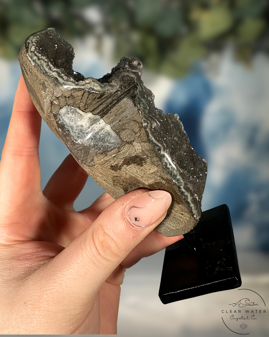 Black Amethyst on Stand