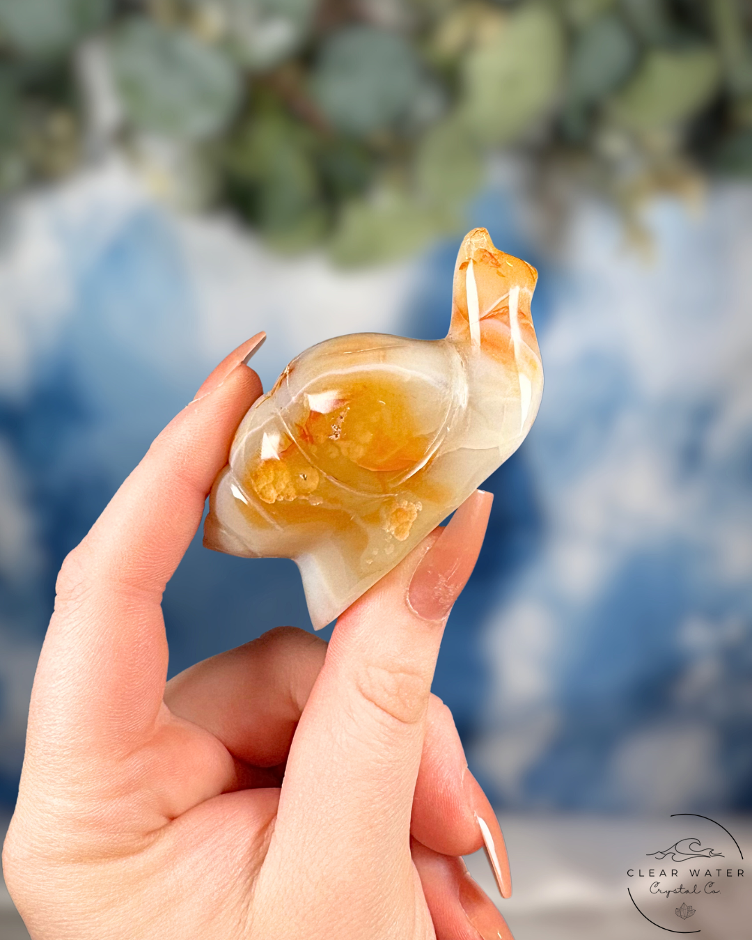 Indonesian Carnelian Snail – The Ember Whirl