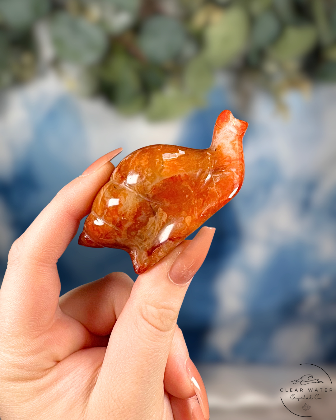 Indonesian Carnelian Snail – The Ember Whirl
