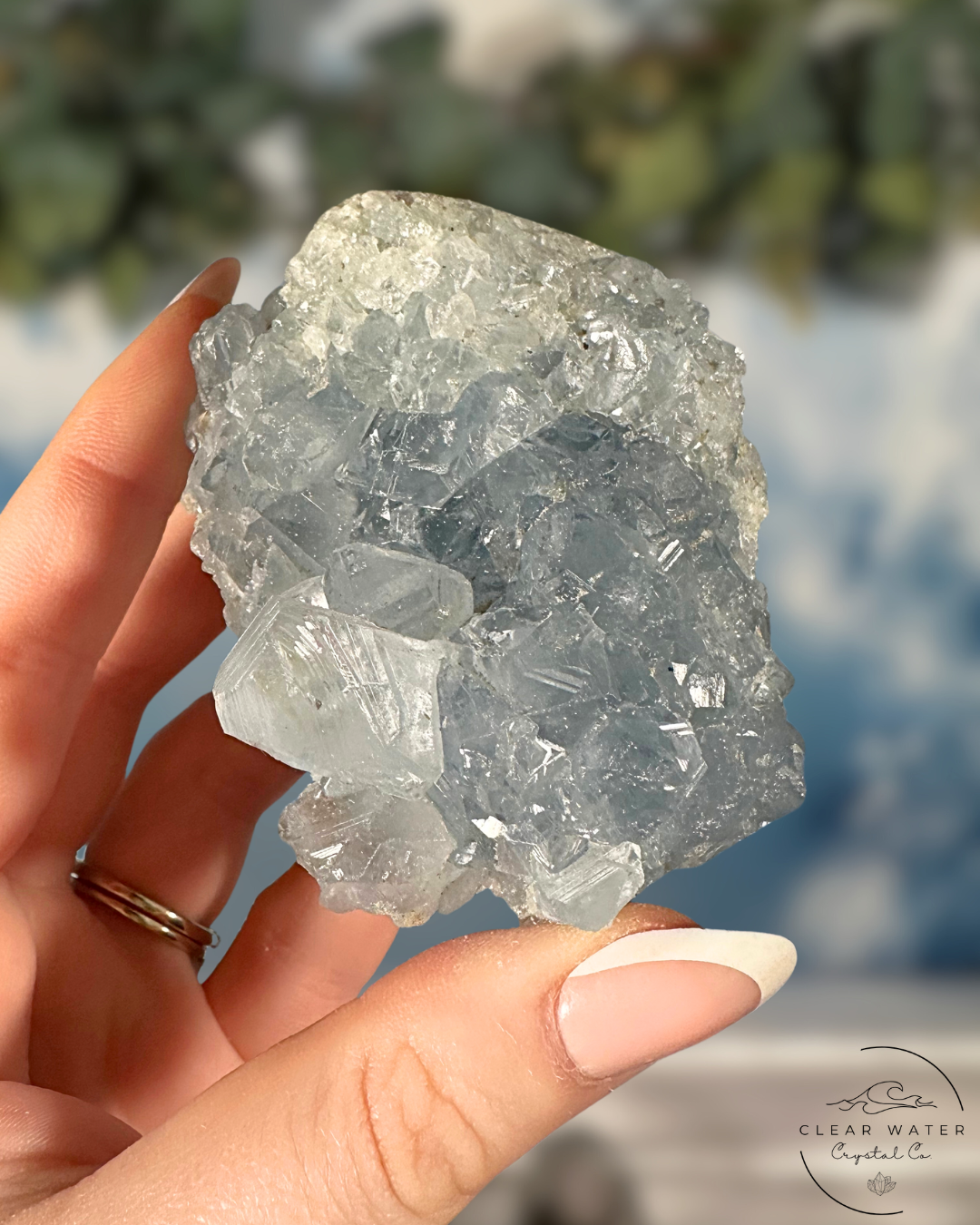 Celestite Clusters: Whispers of the Heavens
