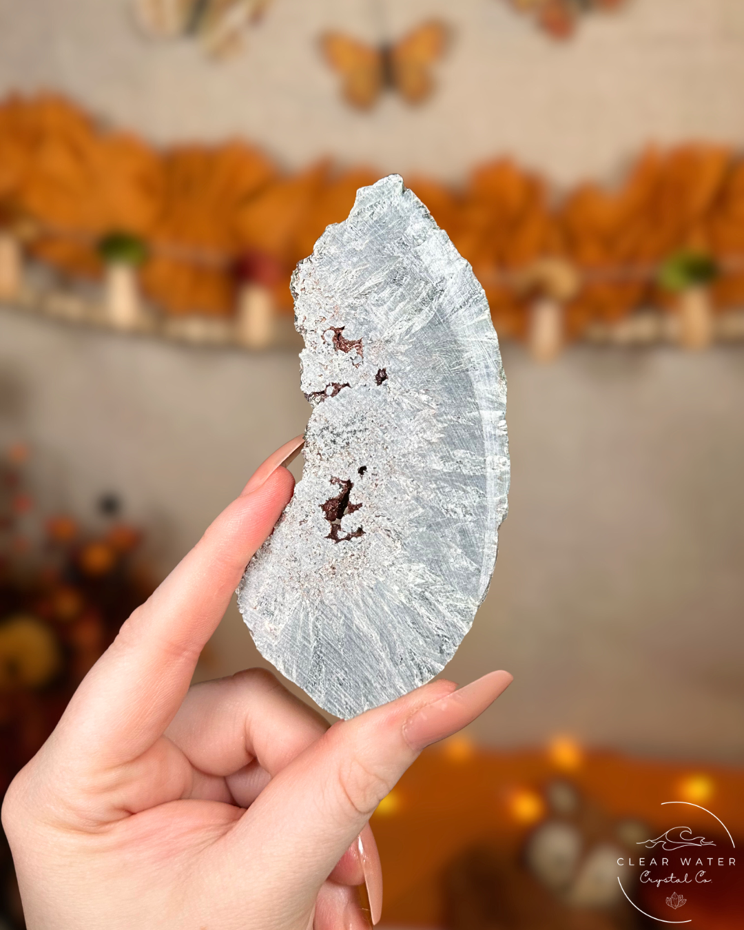 Seraphinite Slab- Angelwing