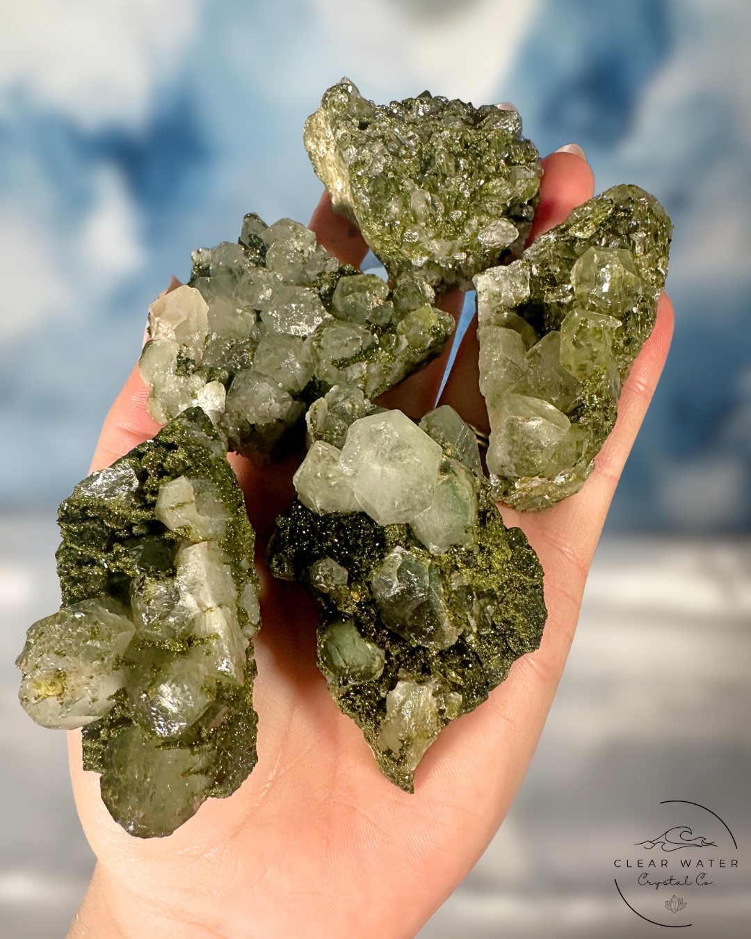Forrest Quartz: Hakkari's Secret Garden