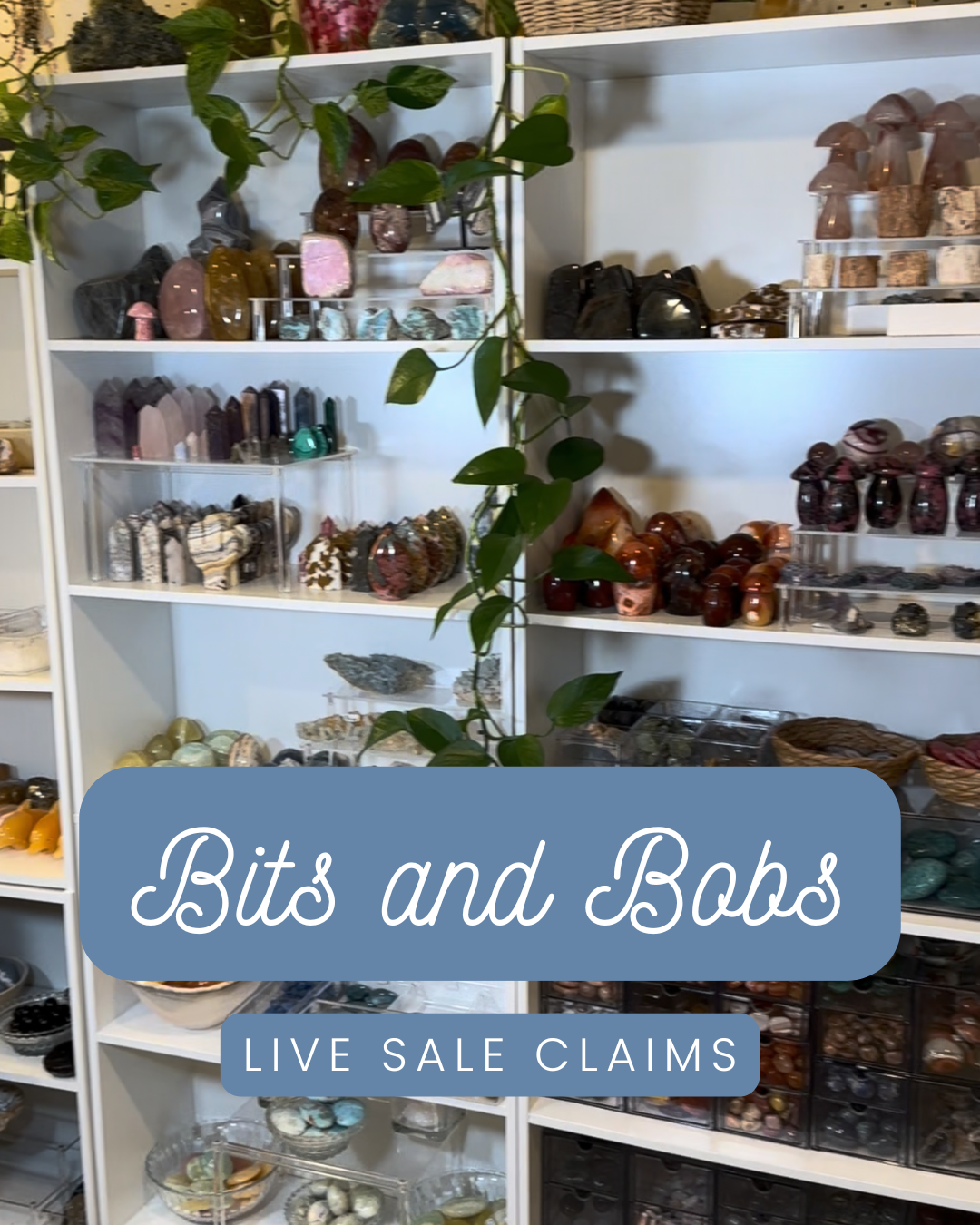 Bits and Bobs Live Sale Claims- jadedfirefly
