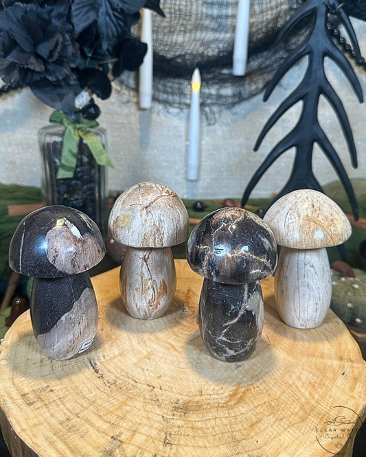 Petrified Wood Mushroom Carving | Indonesia