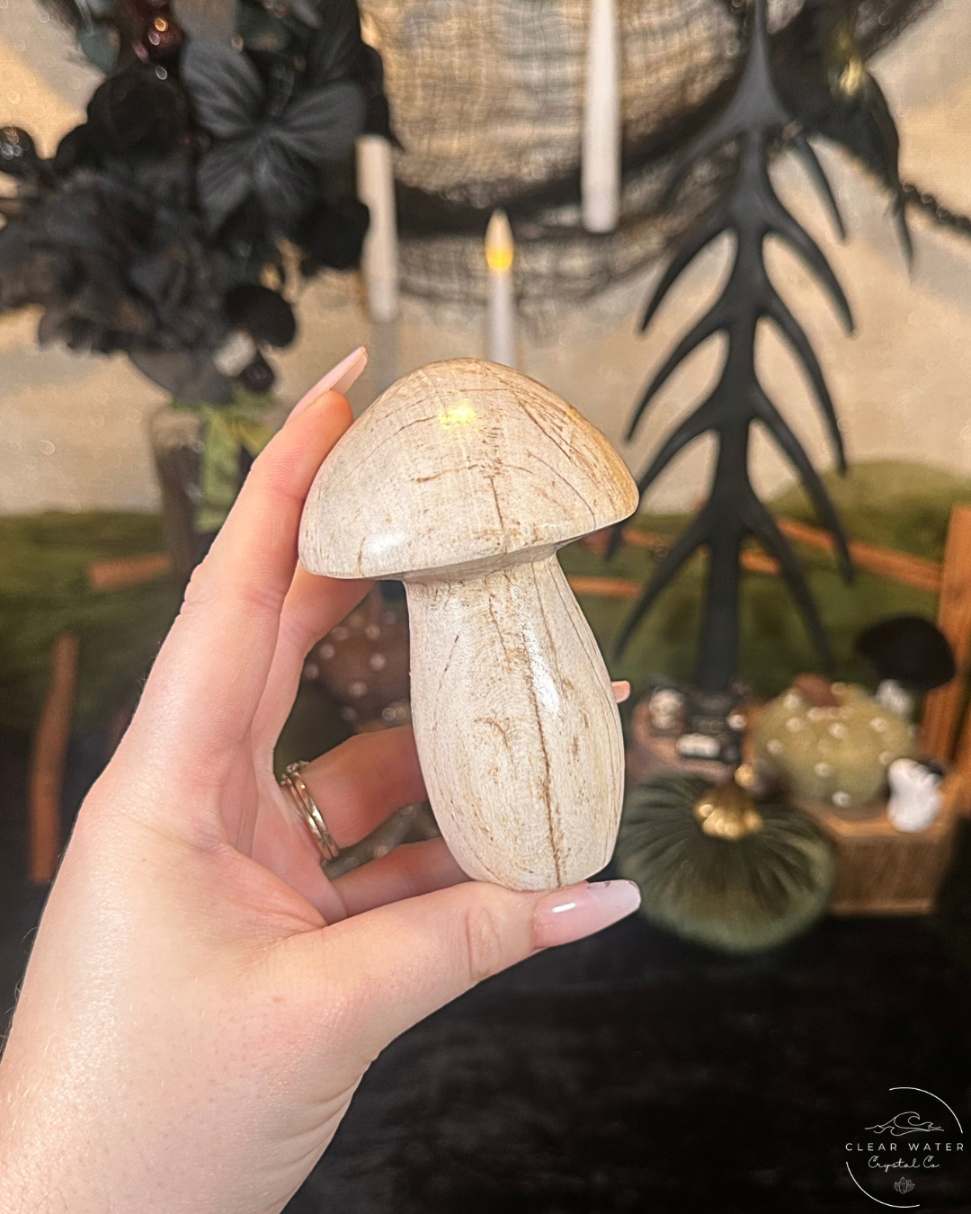 Petrified Wood Mushroom Carving | Indonesia