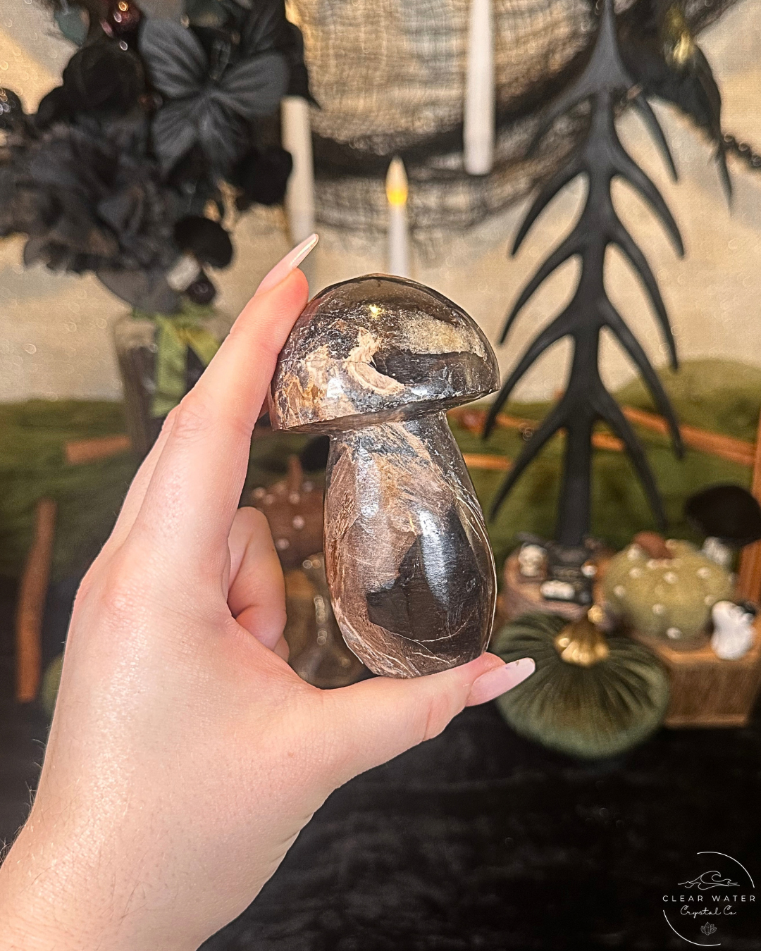 Petrified Wood Mushroom Carving | Indonesia