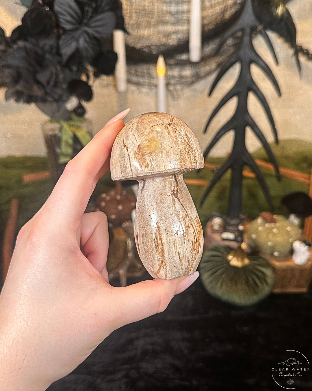 Petrified Wood Mushroom Carving | Indonesia