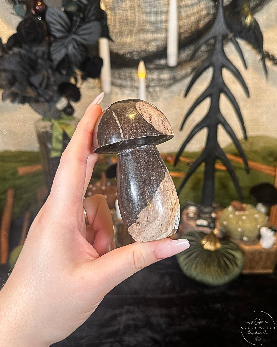 Petrified Wood Mushroom Carving | Indonesia
