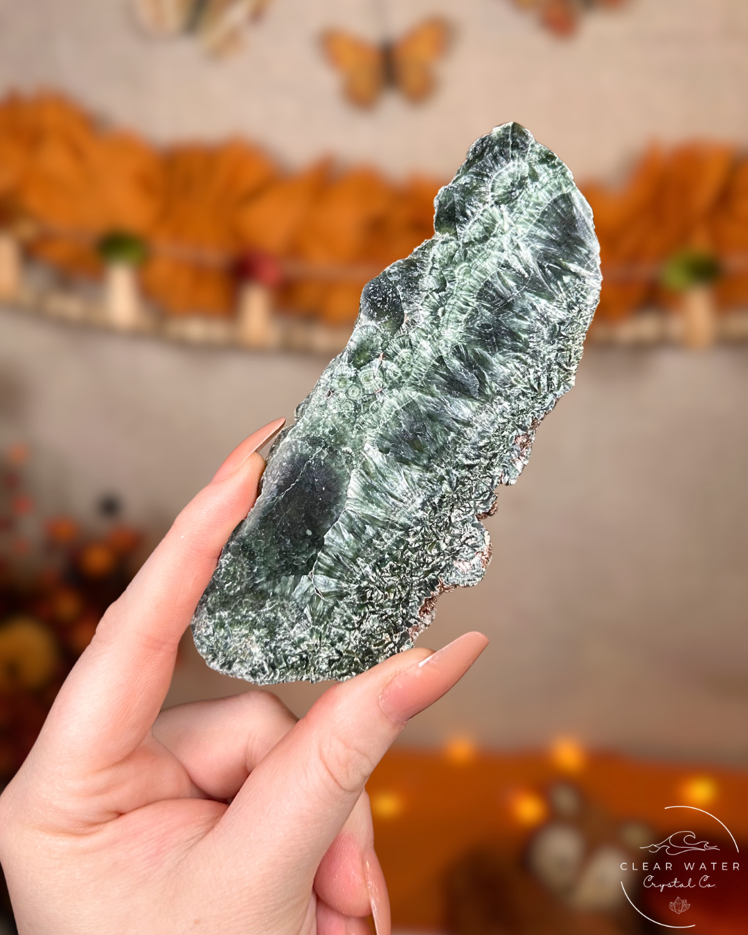 Seraphinite Slab- Angelwing