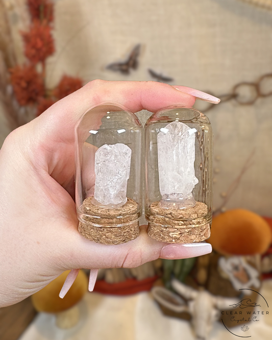 Danburite Specimen Capsule- Mexico