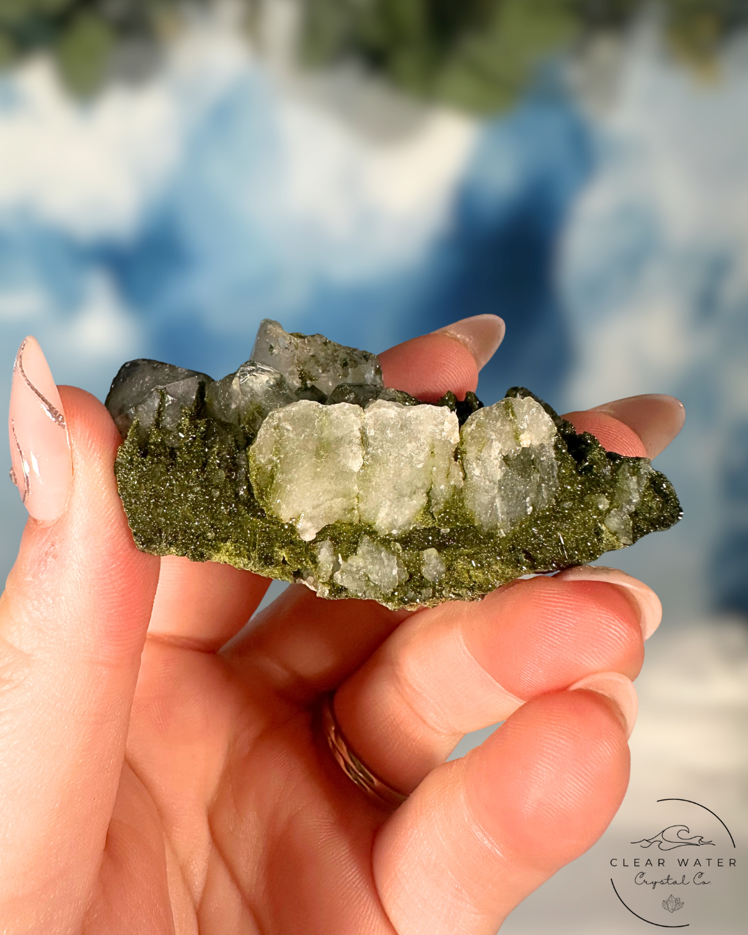 Forrest Quartz: Hakkari's Secret Garden