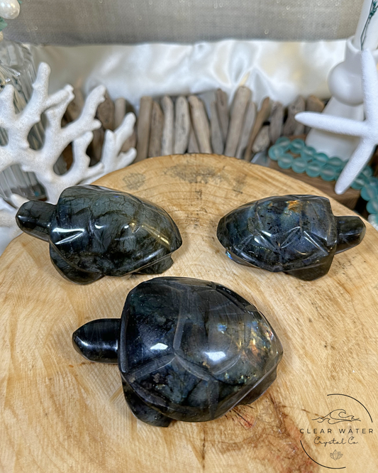 Labradorite Turtle Carving- Madagascar