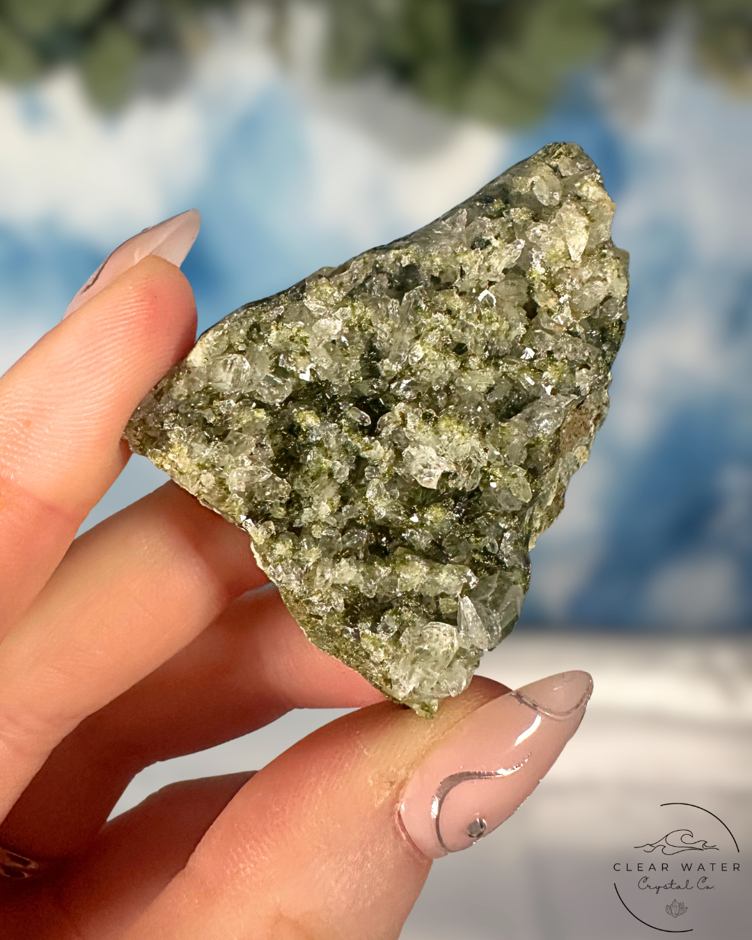 Forrest Quartz: Hakkari's Secret Garden