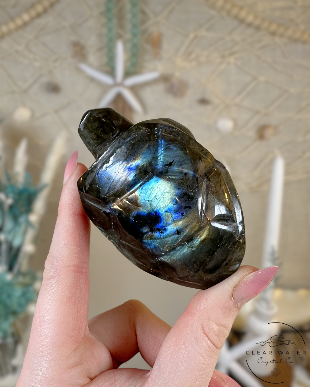 Labradorite Turtle Carving- Madagascar